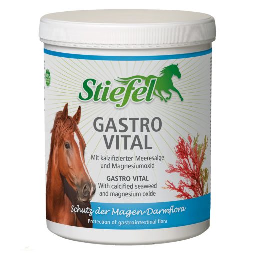 Stiefel Gastro Vital, 1 kg