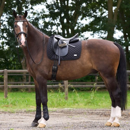 HV POLO Pro Performance Díjlovas Nyeregalátét, fekete