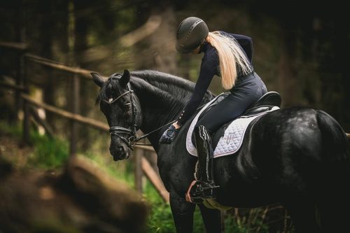 Winderen kengyel, Rose Gold