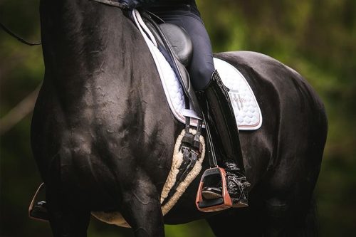 Winderen kengyel, Rose Gold