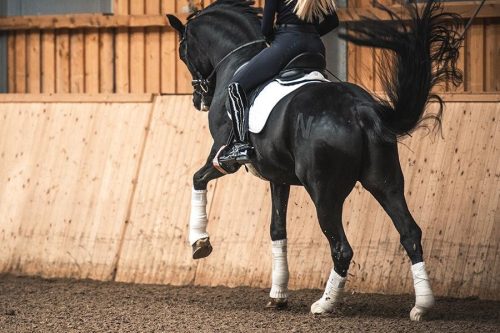 Winderen kengyel, Rose Gold