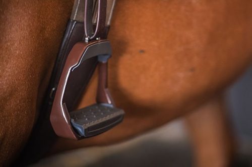 Winderen kengyel, Chocolate