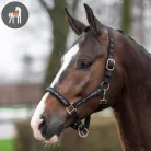 HV POLO Nena Kötőfék, fekete