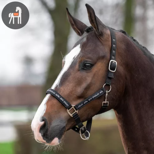 HV POLO Nena Kötőfék, fekete