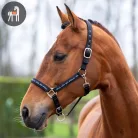 HV POLO Nena Kötőfék, fekete