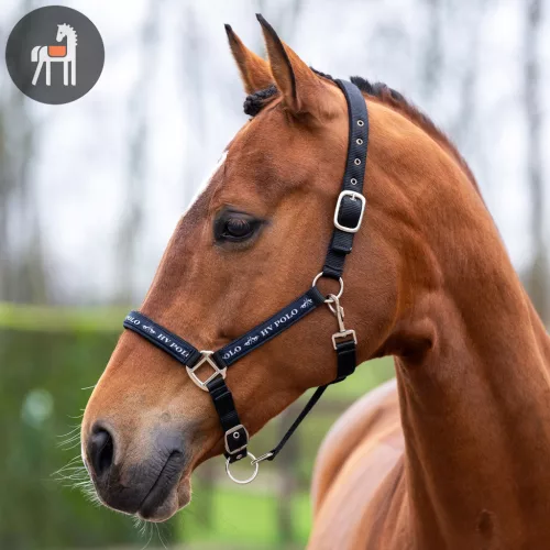 HV POLO Nena Kötőfék, fekete