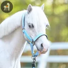 HV POLO Nena Kötőfék, powder blue