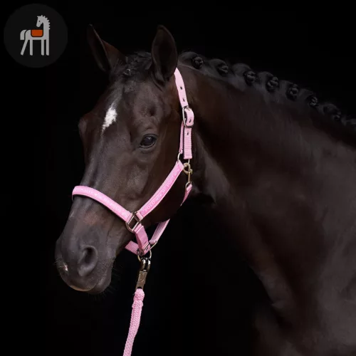 HV POLO Nena Kötőfék, pretty pink