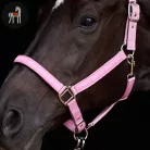 HV POLO Nena Kötőfék, pretty pink