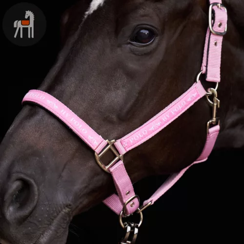 HV POLO Nena Kötőfék, pretty pink