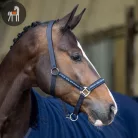 HV POLO Nena Kötőfék, sötétkék