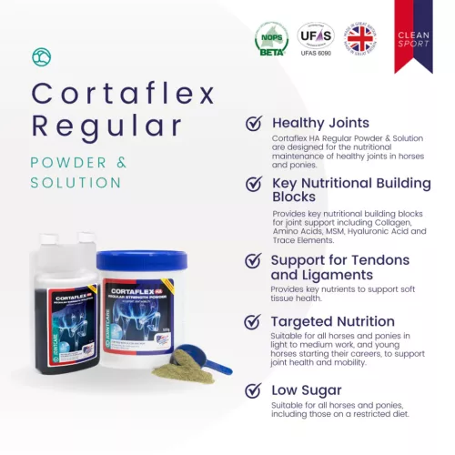 Equine America Cortaflex HA Regular Solution, izületvédő 5 liter