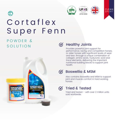 Equine America Cortaflex HA Super Fenn Powder, szuper erős izületvédő, 500 g