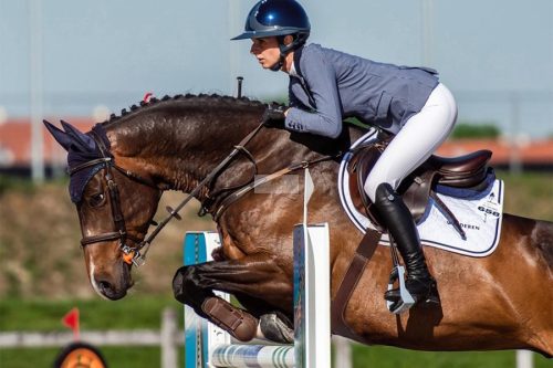 Winderen Kengyel, Sky Blue