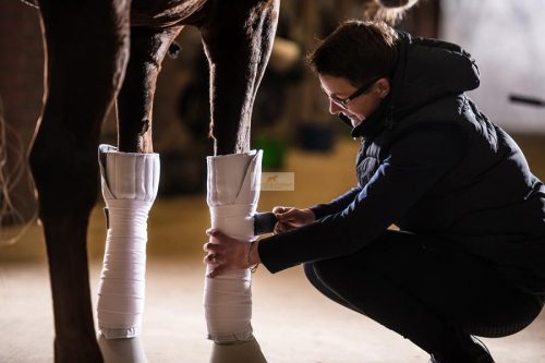 Winderen Thermo Clear fehér munkafásli, 4db