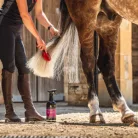 Carr&Day&Martin Canter Sörény és Farok Kondícionáló Spray, 1 liter