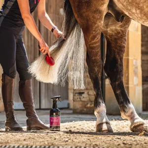 Carr&Day&Martin Canter Sörény és Farok Kondícionáló Spray, 1 liter