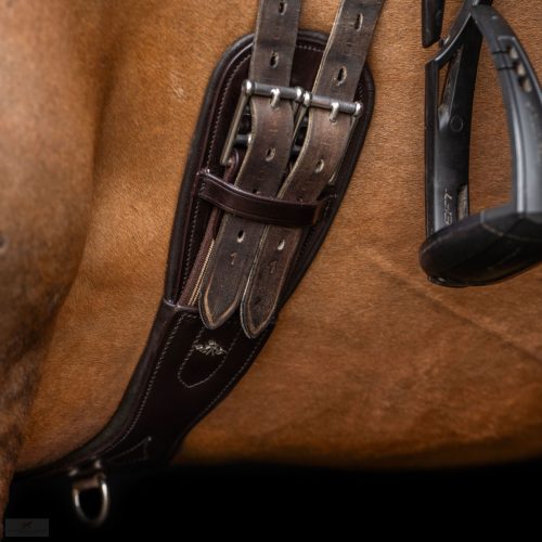 HV POLO Legacy Anatómiai Díjlovas Heveder, chocolate brown