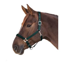 Waldhausen Satin Kötőfék, fir green