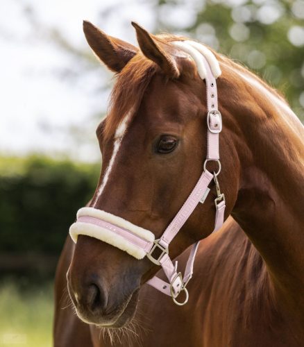 Waldhausen Elegant Kötőfék, powder rose