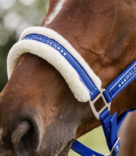 Waldhausen Elegant Kötőfék, saphire blue