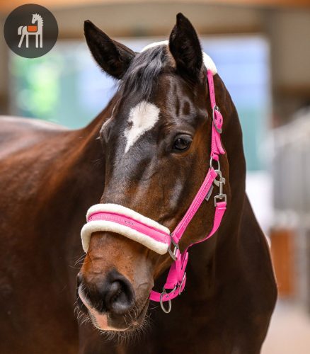 Waldhausen Elegant Kötőfék, pink