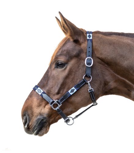 Waldhausen Polo Bőrkötőfék