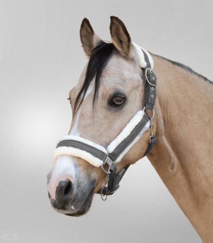 Waldhausen Sparkle Kötőfék, szürke