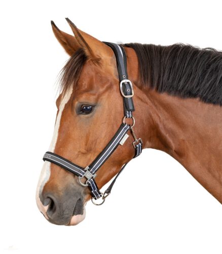 Waldhausen Athletic Kötőfék, asphalt/fekete