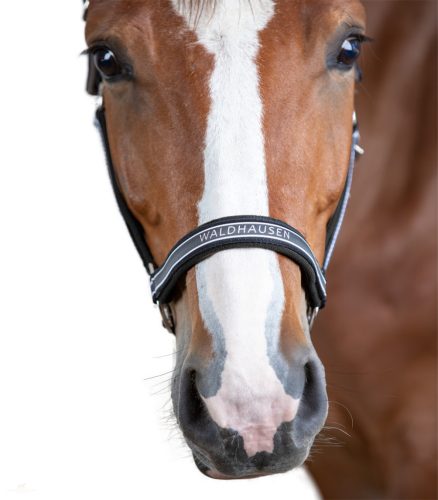 Waldhausen Athletic Kötőfék, asphalt/fekete