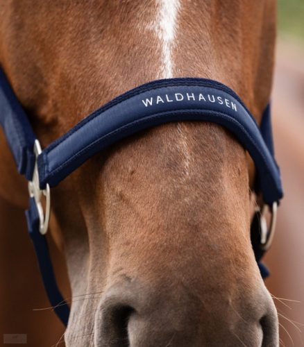 Waldhausen Athletic Kötőfék, night blue