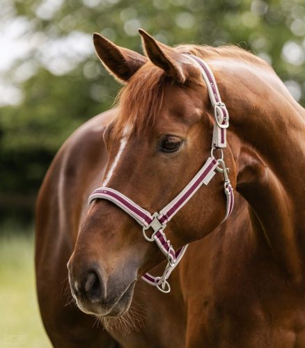 Waldhausen Athletic Kötőfék, velvet red