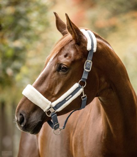 Waldhausen Soft Kötőfék, asphalt