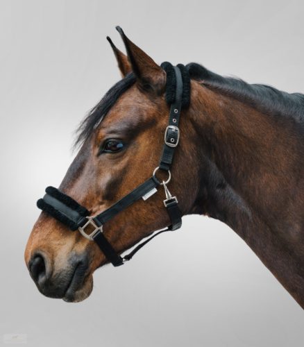 Waldhausen First Kötőfék, fekete