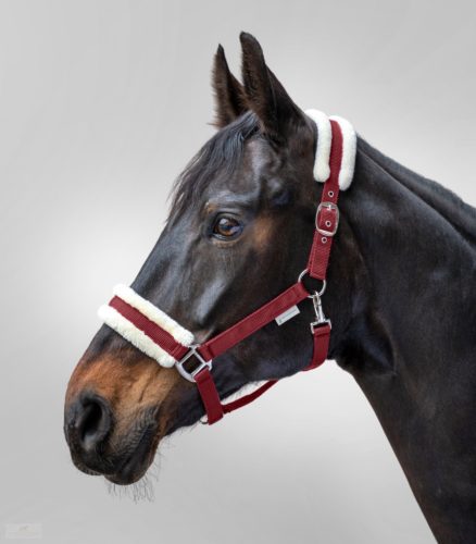 Waldhausen First Kötőfék, bordeaux