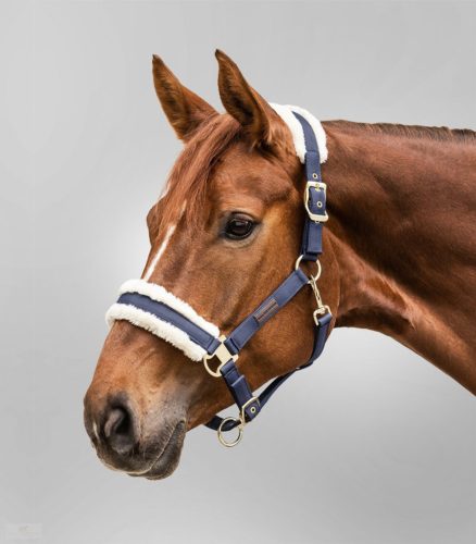 Waldhausen Exclusive Kötőfék, night blue/beige