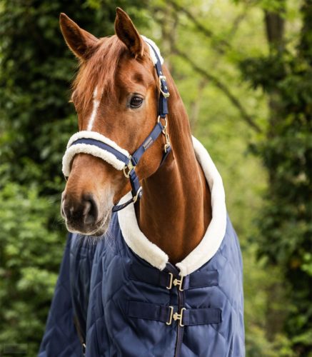 Waldhausen Exclusive Kötőfék, night blue/beige