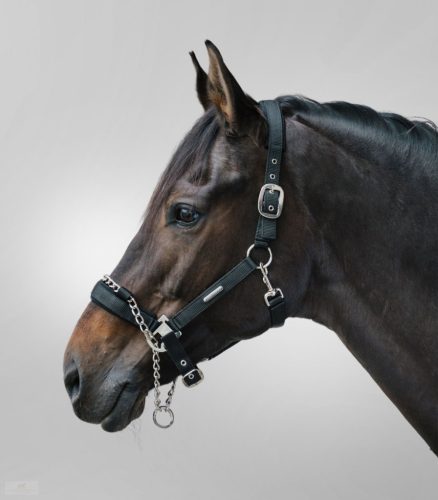 Waldhausen Pro Safety Kötőfék, fekete