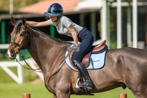 Winderen Díjlovas Nyeregalátét, Sky Blue/Navy