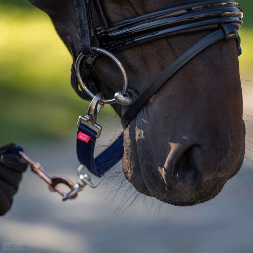 Imperial Riding Futószárazó Szakáll, sötétkék