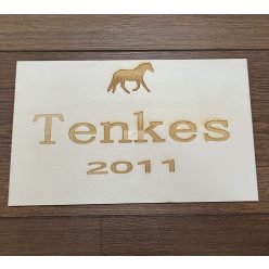 Egyedi névtábla Téglalap