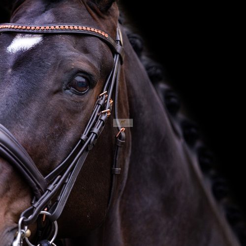 Imperial Riding IRH Fria Nagykantár, barna