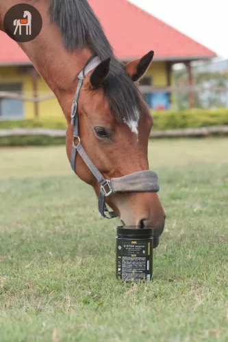 Quebeck Q-STOP equine – bélsárállag-támogató, 500 gramm 