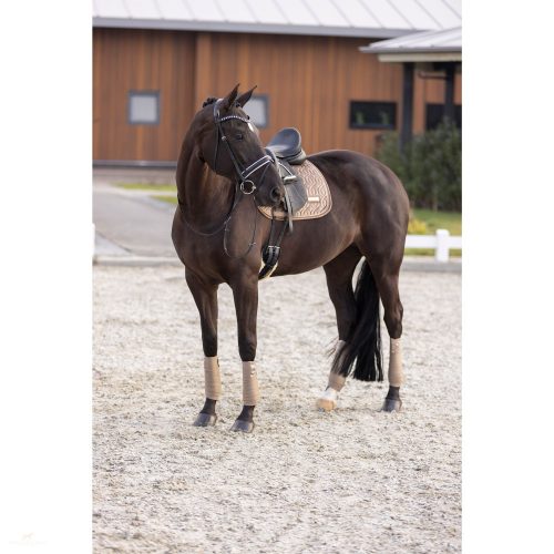 Imperial Riding Sky Díjlovas Nyeregalátét, cappuccino