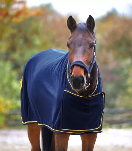 Waldhausen Show Polártakaró, sötétkék/arany