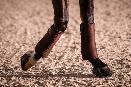 Winderen Thermo Clear barna munkafásli, 4db