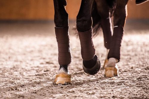 Winderen Thermo Clear barna munkafásli, 4db