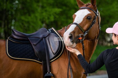 Winderen Díjlovas Nyeregalátét, Raven/Gold