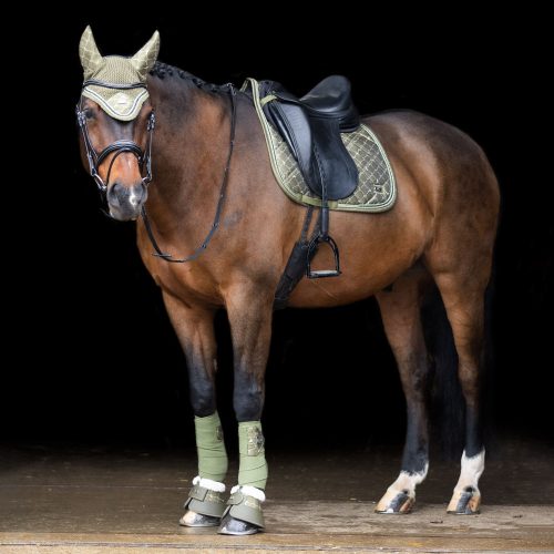 HV POLO Welmoed Shine Díjlovas Nyeregalátét, dark olive green