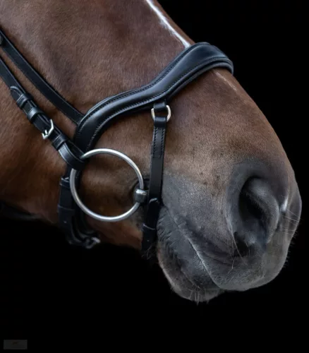 Waldhausen X-Line New Shape II Kantár, fekete